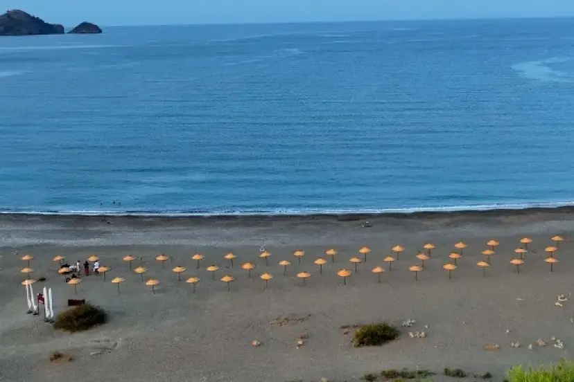 Bakan Kurum: Bu yaz 8 plajımızı düzenleyerek halkımızın ücretsiz kullanımına açtık