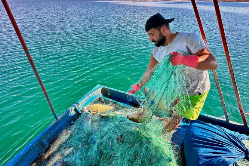 Tunceli'de gölden balık avlayarak ayda 200 bin TL kazanıyor