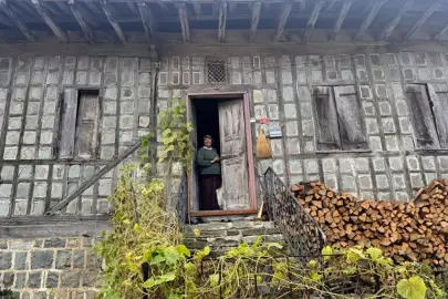 Arılı Köyü: Geleneksel Mimari ve Doğal Güzelliklerle Dolu Bir Açık Hava Müzesi