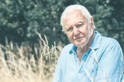 Ünlü belgeselci 100 yaşında